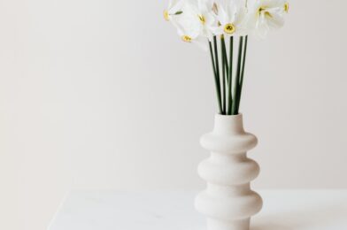 White daffodils in modern Vase
